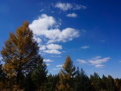 -塞罕坝国家级自然保护区