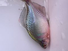 -蓝天路(地铁站)