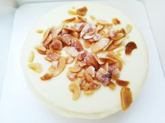 -7号里低糖生日蛋糕(南阳路店)