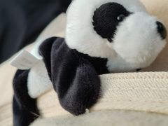 -竹乡人家大鱼头(南山竹海店)