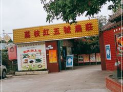 -荔枝红五号农庄