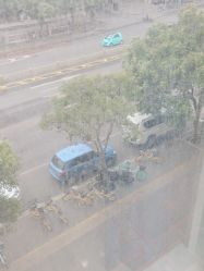 -雍禾植发全国连锁