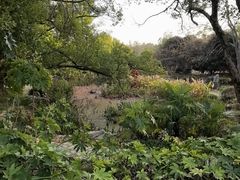-东湖落雁景区