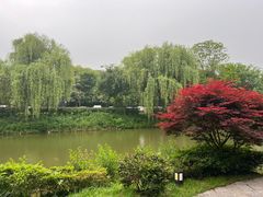 -天目湖涵田度假村
