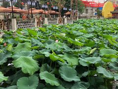 -伴山茶苑·围炉煮茶