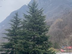 -陕西省红河谷森林公园