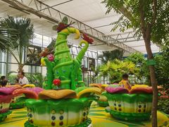 -南宫五洲植物乐园