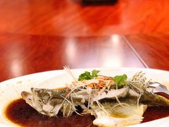 清蒸鲈鱼-锦河别院酒楼.茶楼