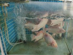 -小海豚•老字号海鲜餐厅(天涯店)