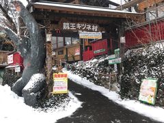 -宫城藏王狐狸村