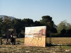 -长兴太湖图影湿地文化园
