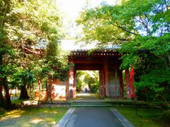-醍醐寺