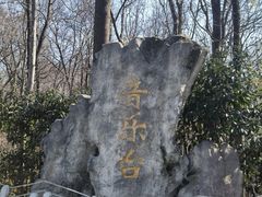 -音乐台