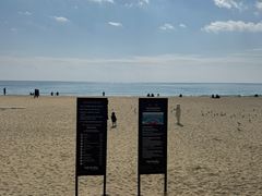 -海云台海滩