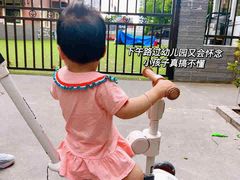 -乐博乐博少儿编程·机器人编程·信息学竞赛(杨浦五角场校区)