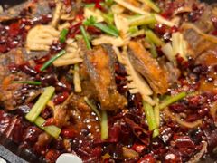 -老板恋上鱼(高新万达店)