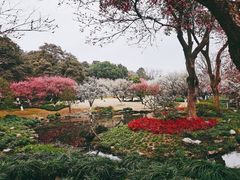 -杭州植物园