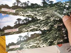 -苍山感通索道