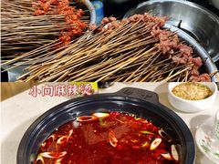 -小向麻辣烫(天街总店)