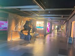 -金逸影城(大悦城IMAX激光店)