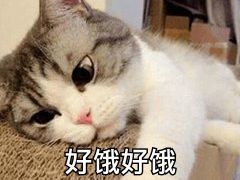 -咕噜咕噜·章鱼小丸子(广州荔湾领展广场店)