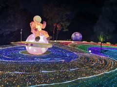 -广西壮族自治区药用植物园