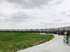 -盐城丹顶鹤湿地生态旅游区