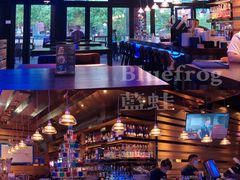 -bluefrog蓝蛙(皇庭广场店)