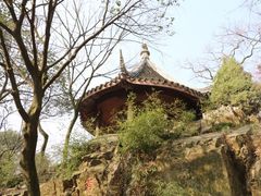 -香雪海