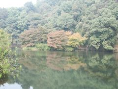 56349341201210292223292237406525247_017-九溪烟树