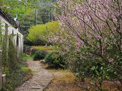 -雨花胜境