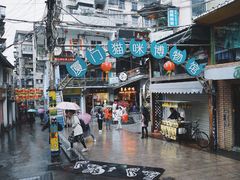 -猫咪博物馆(顶澳仔猫街店)