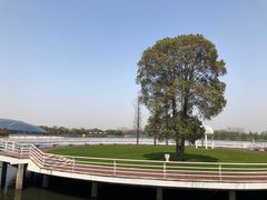 -湖州太湖旅游度假区-月亮广场