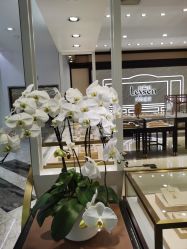 -Leysen莱绅通灵珠宝(美罗百货店)