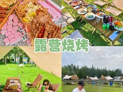 -栖露营camping·天幕烧烤·团建拓展·采摘营地