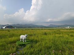 -敕勒川草原