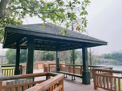 -广东花都湖国家湿地公园