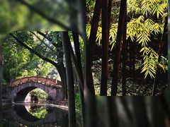 -望江楼公园