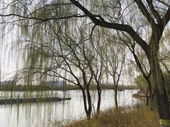 -大兴滨河森林公园