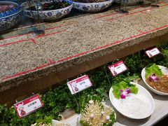 自助取餐区-野山舂·贵州现舂酸汤火锅(鸿通城店)