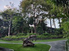 -西双版纳洲际度假酒店兰吧