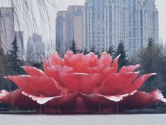 -洛阳市隋唐城遗址植物园