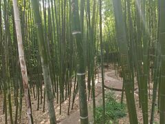 -泰山风景名胜区-普照寺