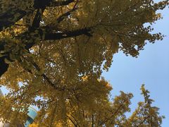 -成都凯宾斯基饭店