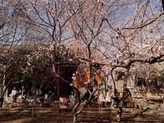 -三里河公园