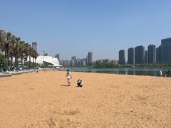 -金沙湖公园
