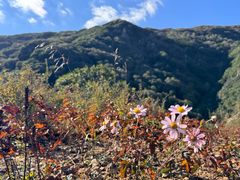 -白草畔自然风景区