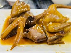 -鸽鸟轩(石岐店)