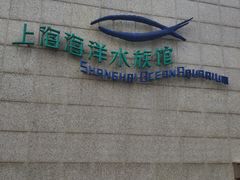 -上海海洋水族馆