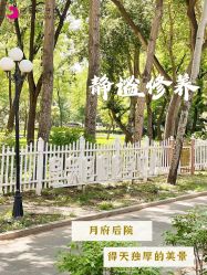 -皇家月府月子中心(沈阳店)